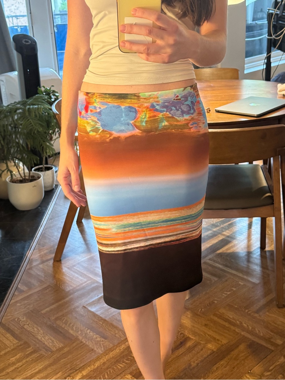 Clover canyon sunset skirt